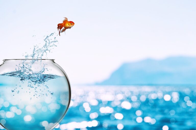 Goldfish leaps out of the aquarium to throw itself into the sea